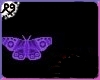 [9] Purple Butterfly