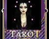Tarot Reader Picture