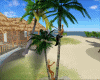Palm Tree 2 Animation