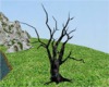 [dani]Black Evil Tree