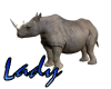 Rino