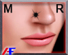 AF. Black Nose Stud R