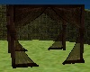 Brown Canopy