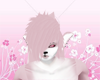 Pink Foxen Hair [M]