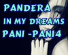 In my Dreams /Pandera