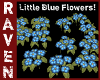 LITTLE BLUE FLOWERS!