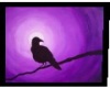 Raven