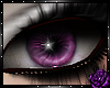Niva plum