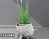 Elephant Planter
