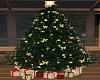 Dorchester Holiday Tree