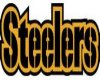 Steeler's Couch