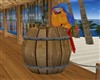 ANIMATED PARROT/ BARREL