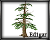 (ED1)Tree-11
