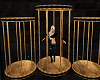 GOLD BRONZE DANCE CAGES