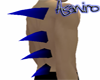 Blue/black Right back