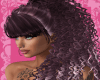 Athene - PLUMROSE