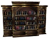 HOT IVY BOOKCASE