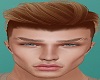 Masen - Brown v1