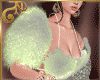 N| Newyear 2026 Saree 2
