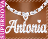 [Nova] Antonia Necklace