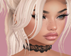 Niamh Plat Req