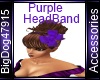 [BD] Purple HeadBand