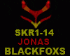 JONAS-SKR1-14
