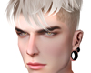 Head Geminis