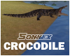 Crocodile animated