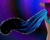 Cat Tail