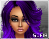 [SOF] Amdis Purple