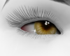 Pretty Eyes