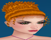 !    DINASTY  GINGER