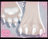 ˏˋ✧ Furry Paws