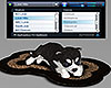 Dog Streaming Radio