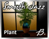 *B* Smooth Jazz Plant2