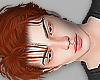 Tatis Ginger