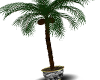 Palm tree /elephant vase