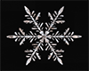 Snowflake Marker/Decor3
