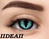 !D! *F* CatEyes