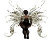 Black/Gold Fairy Wings