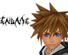 Sora