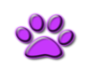 [P] Purple Paw