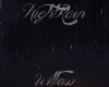 [BM] Night Rain Willow