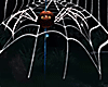 Drv Halloween Spider