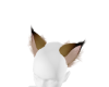 Sand Cat Ears