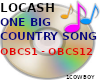 ONE BIG COUNTRY SONG~DJ~