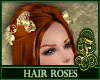 Hair Roses - Gold