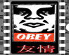 OBEY 3D wall