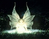 luminous fairy